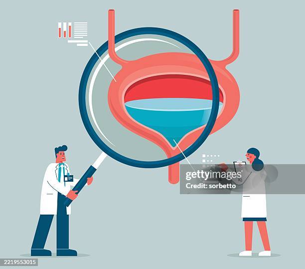 bladder - magnifying glass - bladder stock illustrations