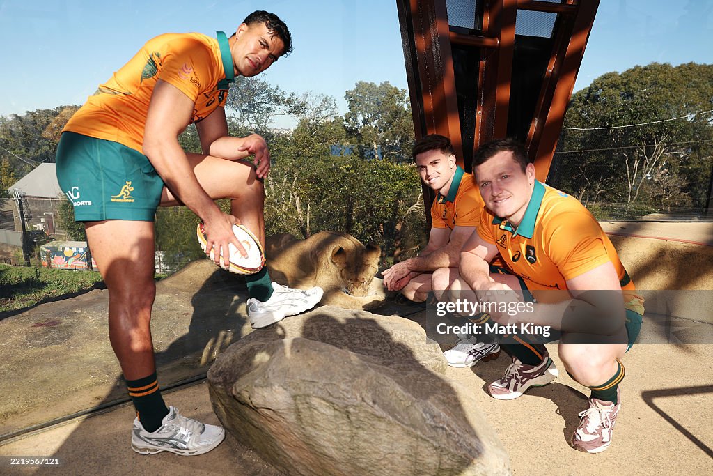 Wallabies Media Opportunity