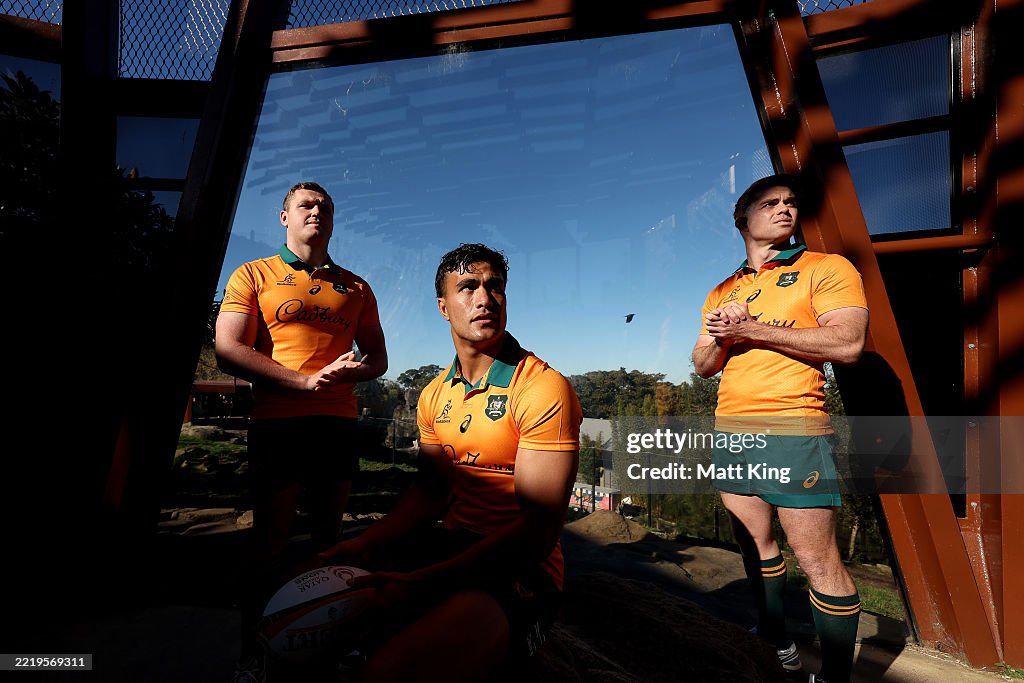 Wallabies Media Opportunity