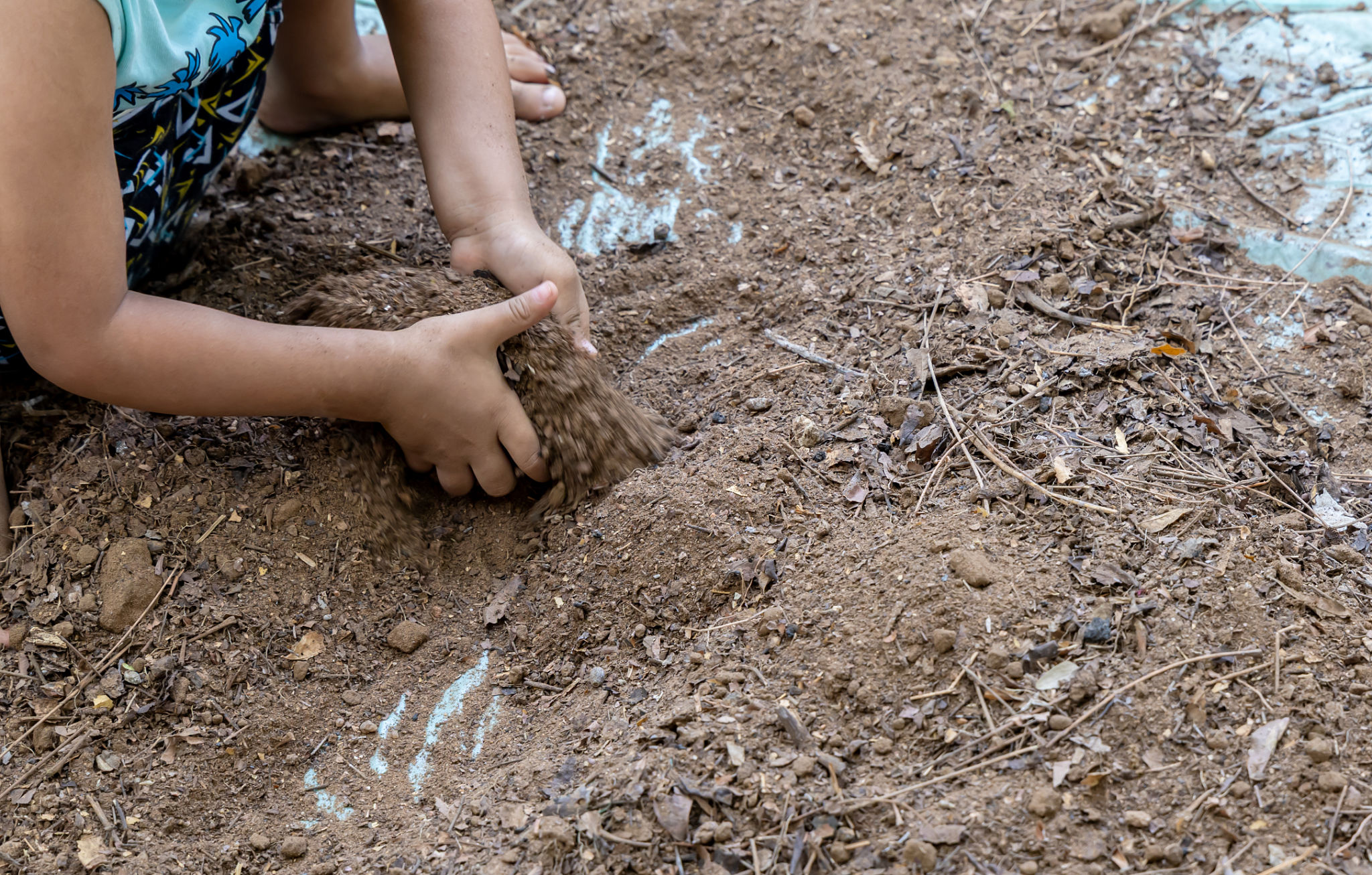 soil health