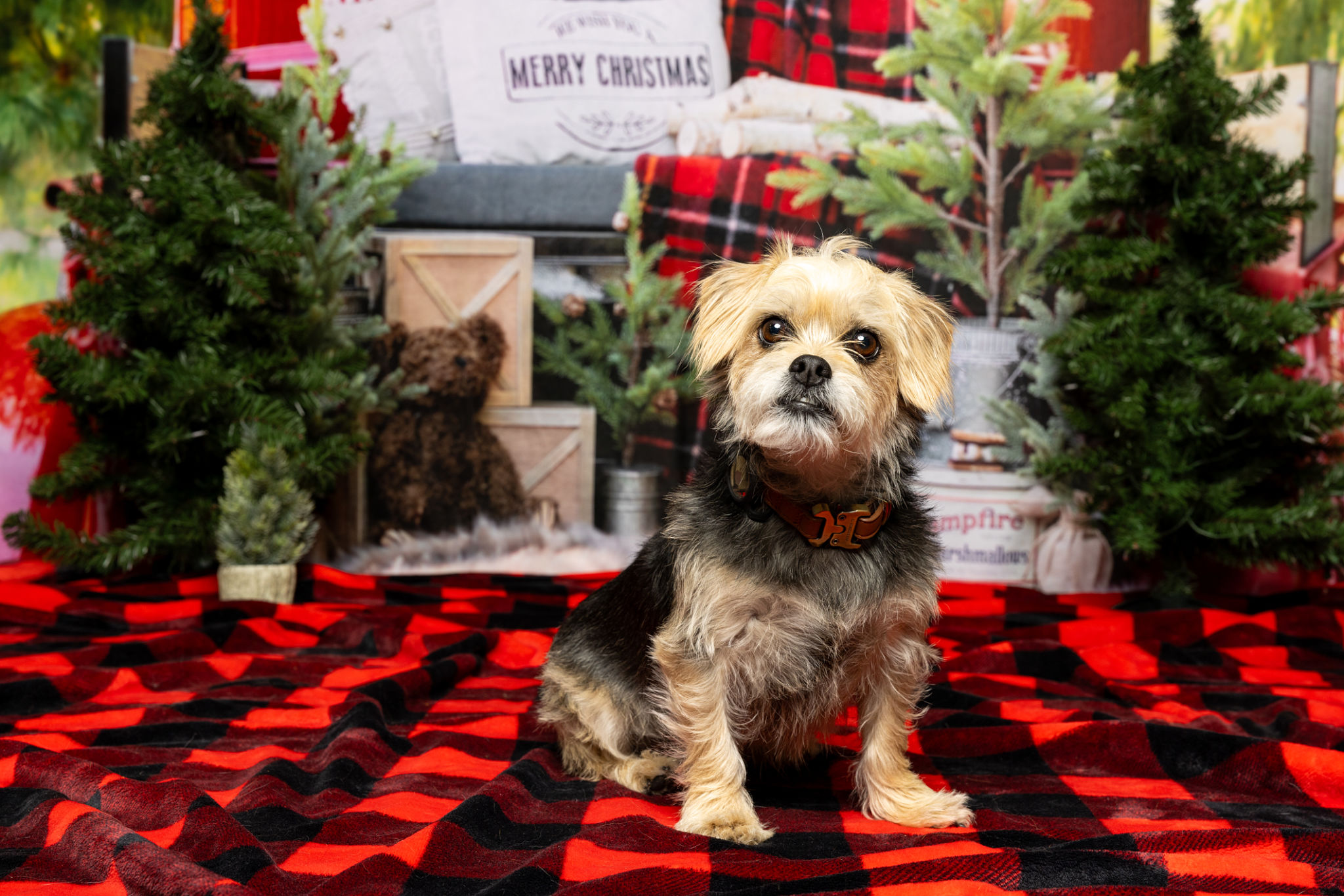 Christmas costume