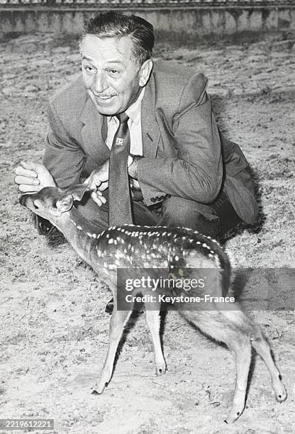 Portrait de Walt Disney avec un faon de Virginie, lors de sa visite du zoo de Berlin le 2 juin 1958.