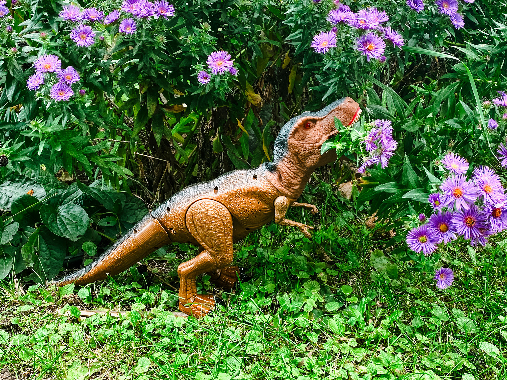 Toy Dinosaur Holding A Purple Flower In Its Mouth Toy Dinosaur Holding A Purple Flower In Its Mouth