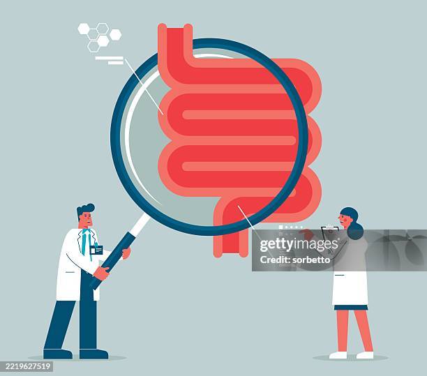 magnifying glass - digestive system - colonoscopy stock illustrations