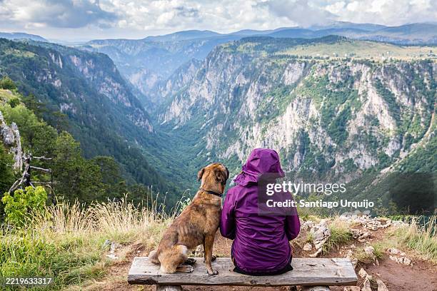 tourist and her dog looking at susica canyon in durmitor national park - balkans stock pictures, royalty-free photos & images