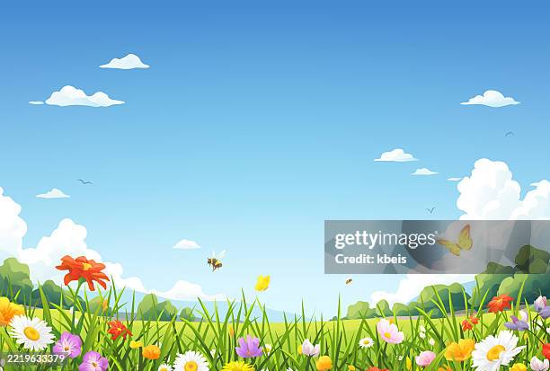flowers on a summer meadow - bumblebee flower stock illustrations