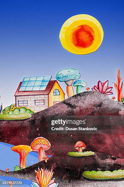 sunlight and fungi with solar panel - solar panels sunset stock illustrations