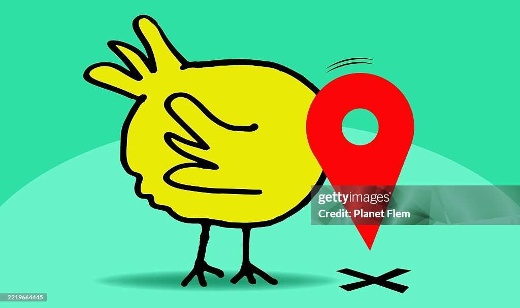 The little bird that showed me the way
