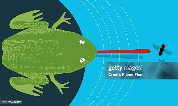 frosch fängt eine fliege - frosch stock-grafiken, -clipart, -cartoons und -symbole
