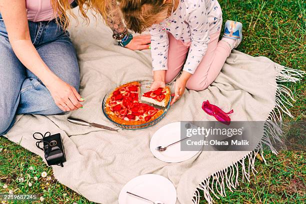 mother and daughter enjoying a picnic outdoors on a sunny day - throw cake stock pictures, royalty-free photos & images