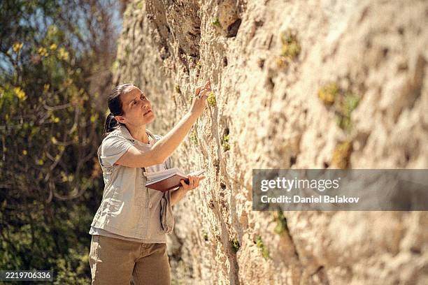 une archéologue travaillant sur le site d’anciennes habitations de falaise - paléontologie photos et images de collection