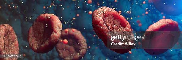 macro view of human red blood cells in vivid microscopic detail - hemoglobin stock pictures, royalty-free photos & images