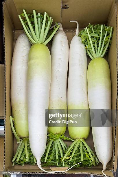 fresh daikon radishes in cardboard box - rábano grande japonés fotografías e imágenes de stock