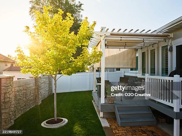 hinterhofterrasse und rasen im sommer - pavillon stock-fotos und bilder