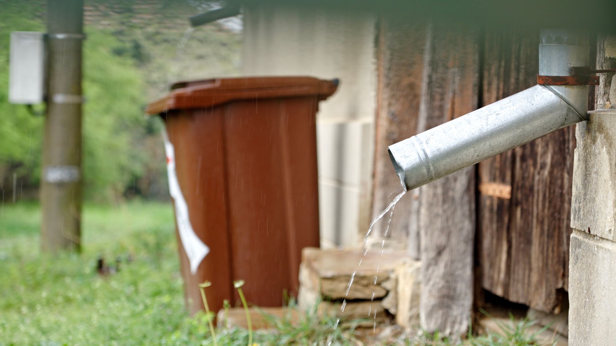 water conservation summer