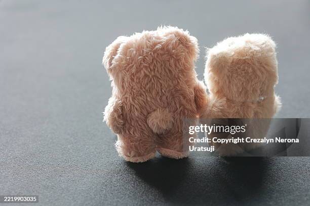 side-by-side forever handmade bear pair rear view - doudou photos et images de collection