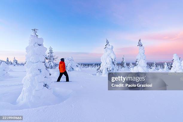 wanderer in der verschneiten landschaft, finnland - alles hinter sich lassen stock-fotos und bilder