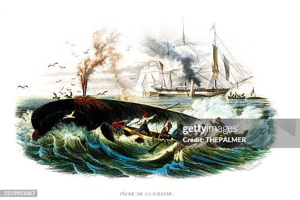 whale hunt in rough seas – 19th century engraving - harpoon stock illustrations