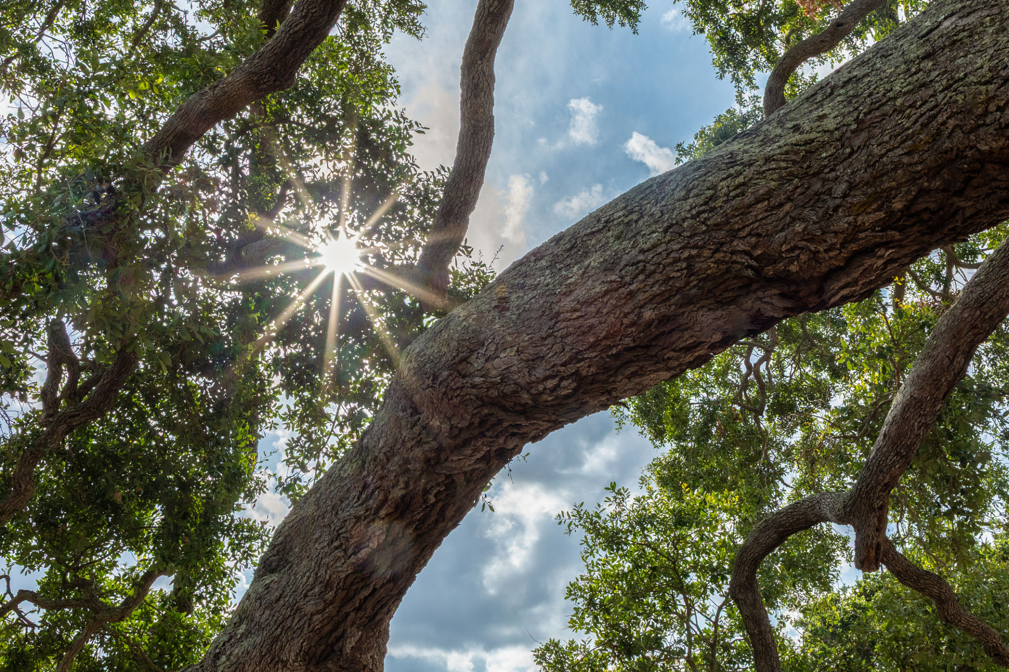 georgia nature trail