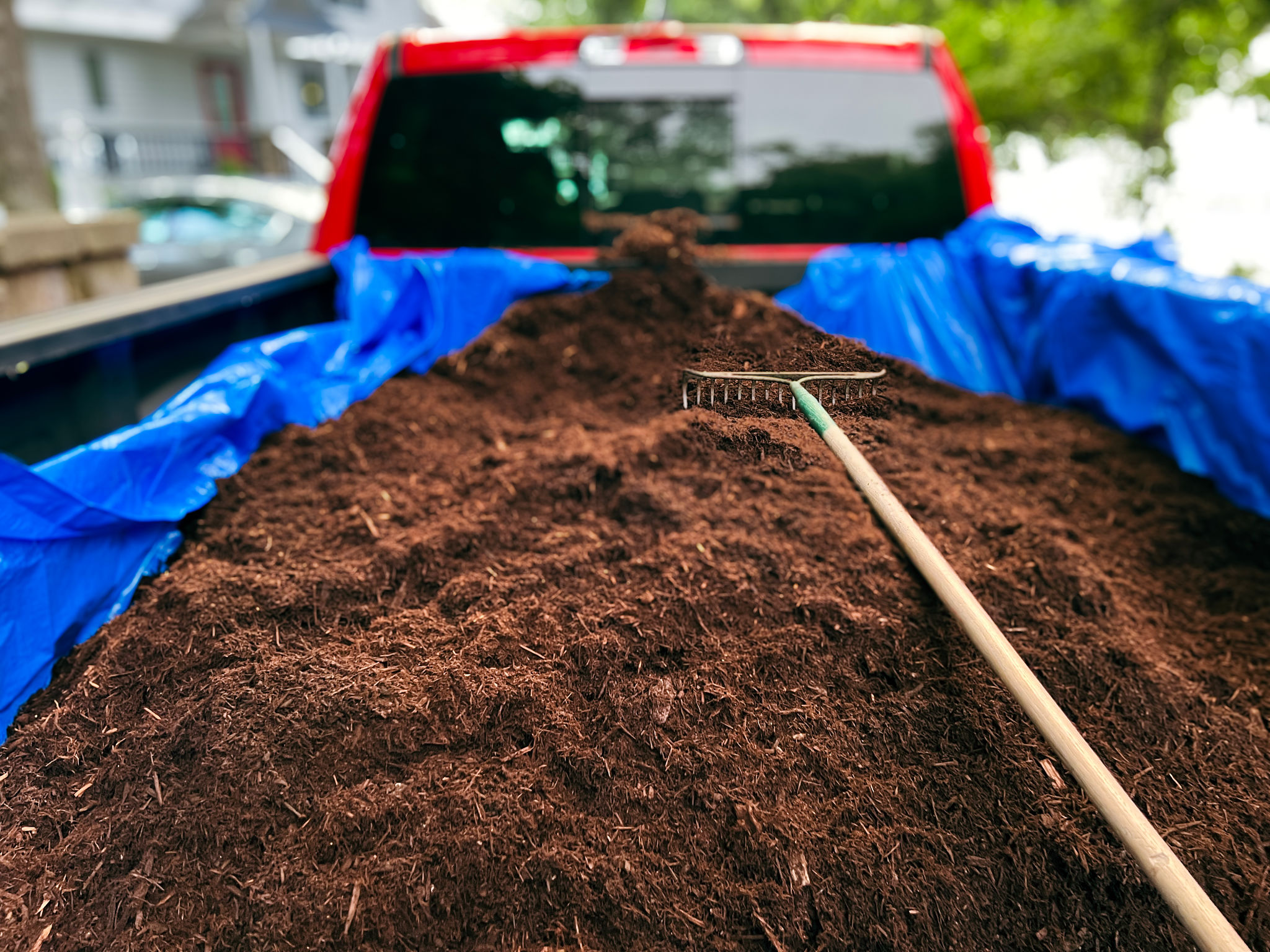 compost pile