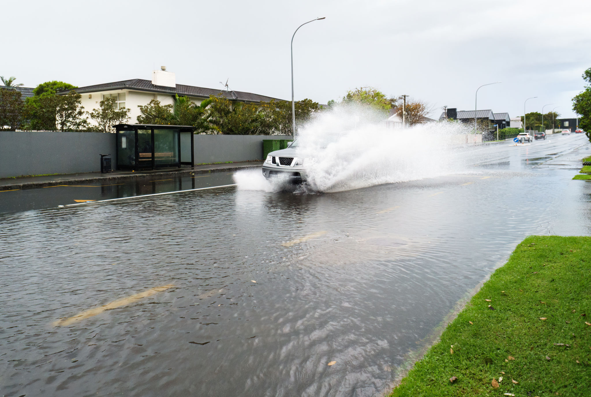 auckland homes