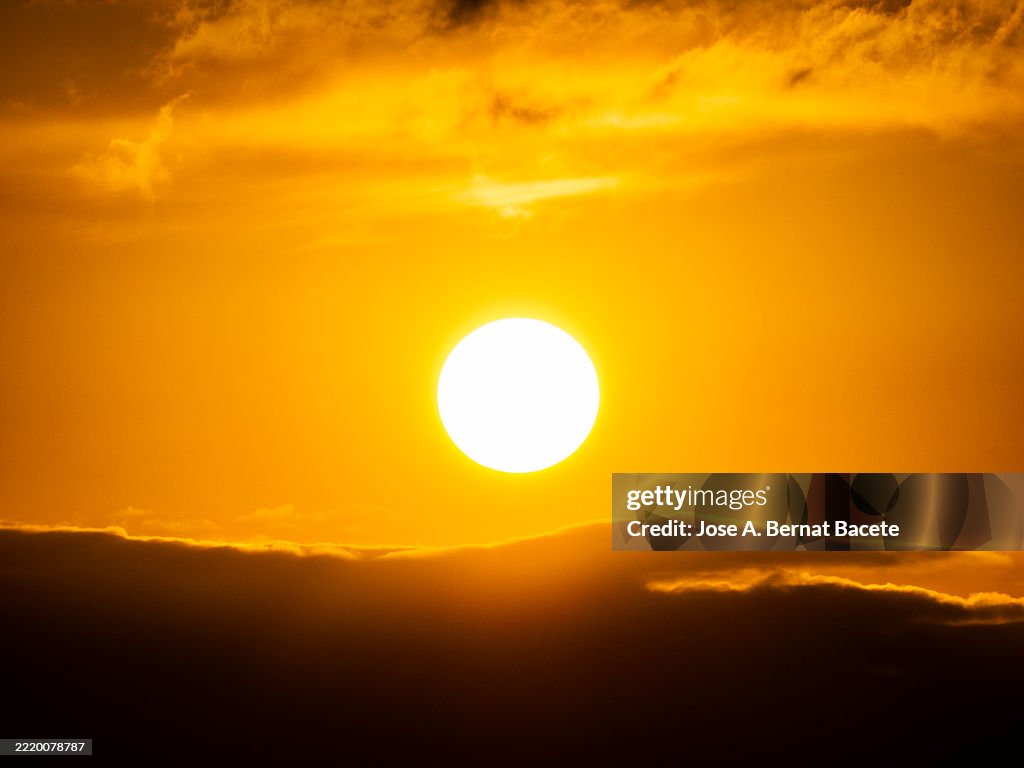 Solar corona on the horizon on a hot, cloudless summer day, with the silhouette of plants in the foreground.