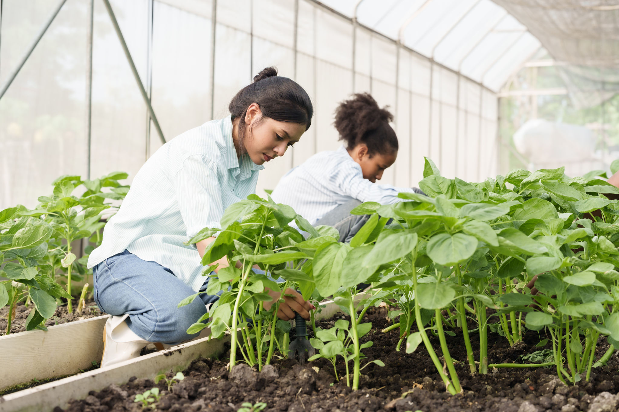 agriculture training