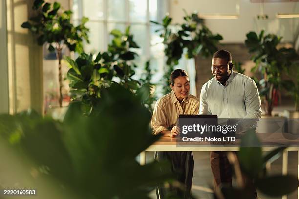 business colleagues collaborating on laptop in green office space - sustainable lifestyle stock pictures, royalty-free photos & images