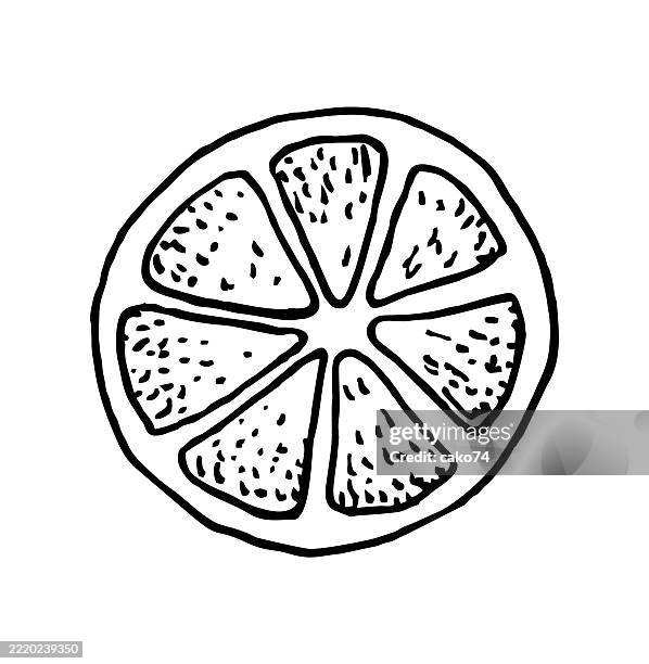 bildbanksillustrationer, clip art samt tecknat material och ikoner med hand drawn lemon slice - apelsin