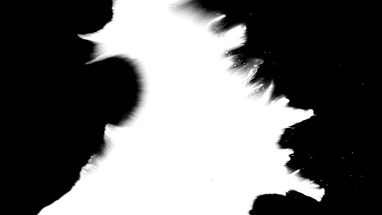 https://media.gettyimages.com/id/2220240738/video/abstract-black-ink-brush-stroke-flowing-on-white-background-dynamic-fluid-motion-texture.jpg?b=1&s=640x640&k=20&c=UB-m67NjDLR9_5feYaRBXVPSkXGm5a8Vx7-ATxiW-yA=
