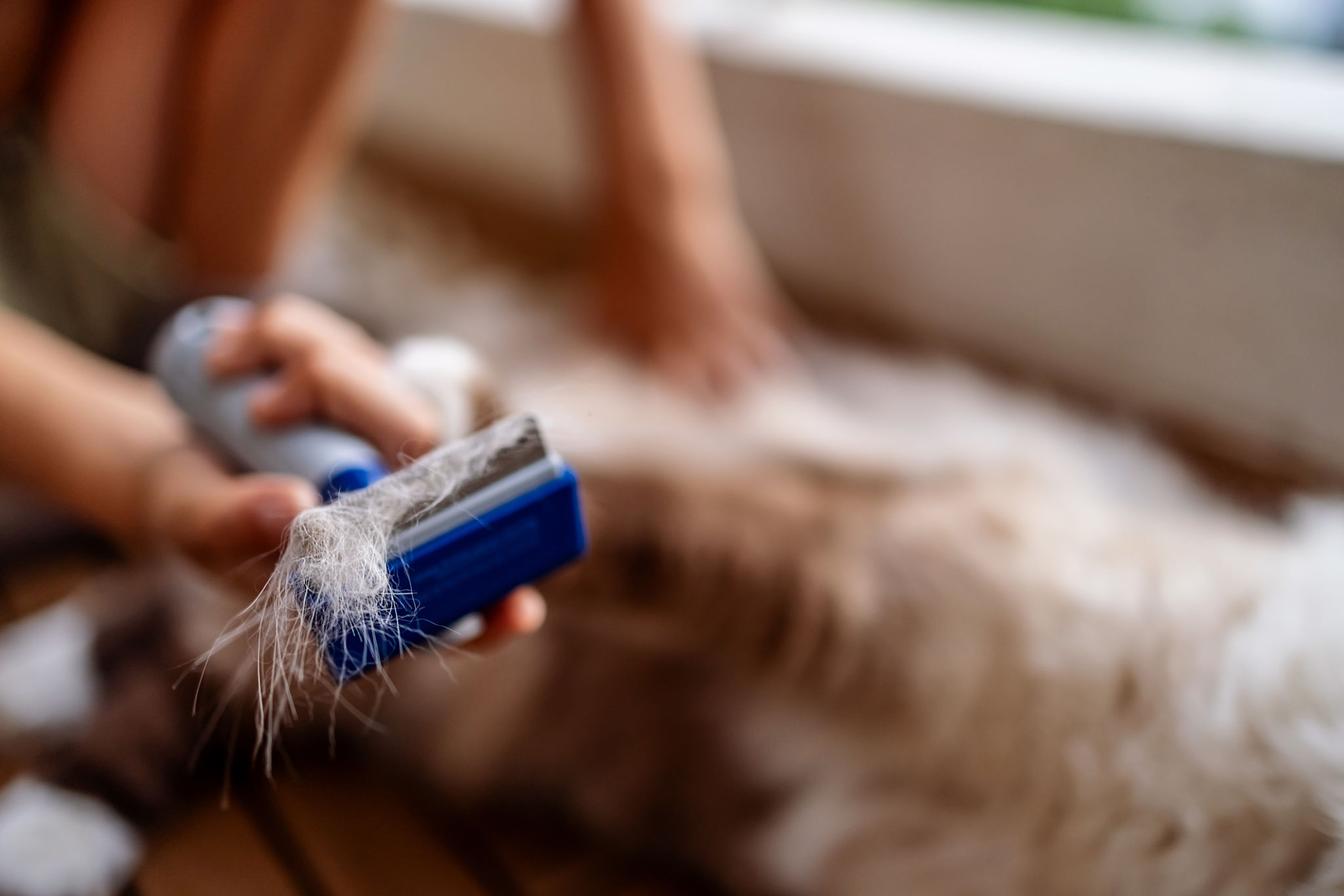 personalized cleaning