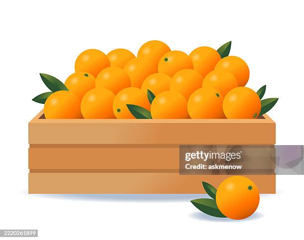 stockillustraties, clipart, cartoons en iconen met a box of oranges - krat
