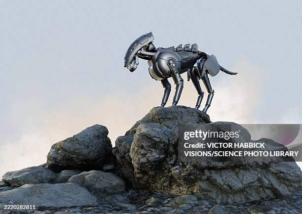 robot dog, illustration - dog looking over stock illustrations