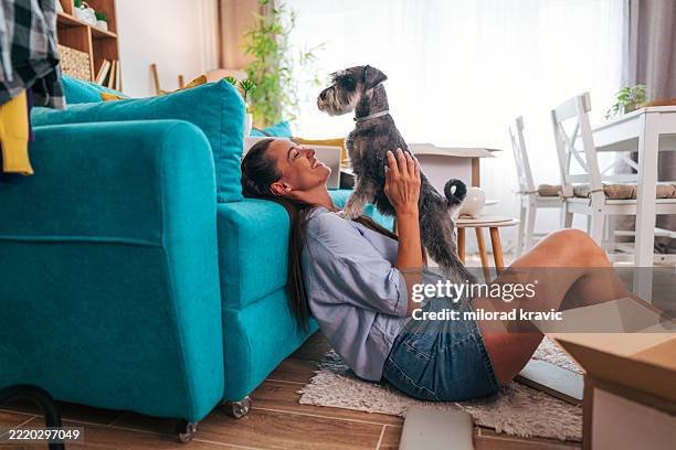 happy woman holding her miniature schnauzer while moving into new apartment - tenant stock pictures, royalty-free photos & images