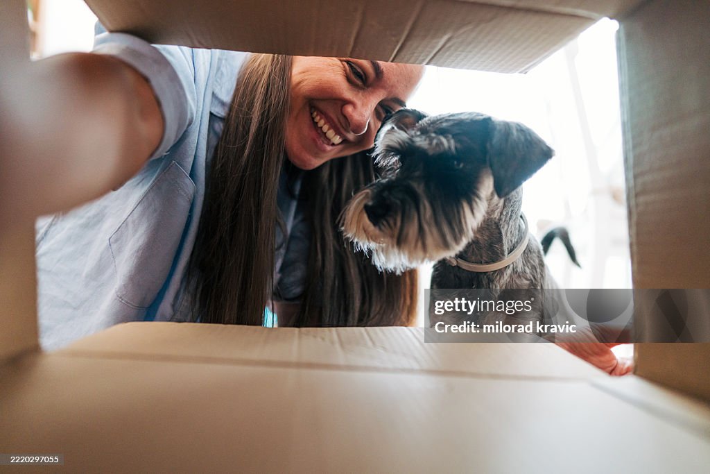 Woman and her miniature schnauzer looking inside a cardboard box