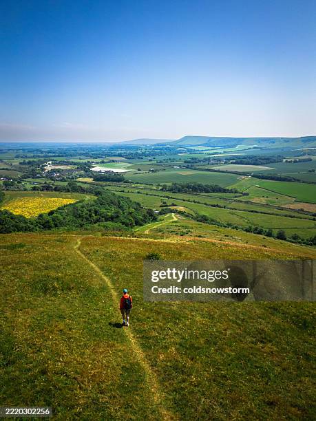 aerial view of hiker walking through lush landscape on south downs in east sussex, uk - south downs national park stock pictures, royalty-free photos & images