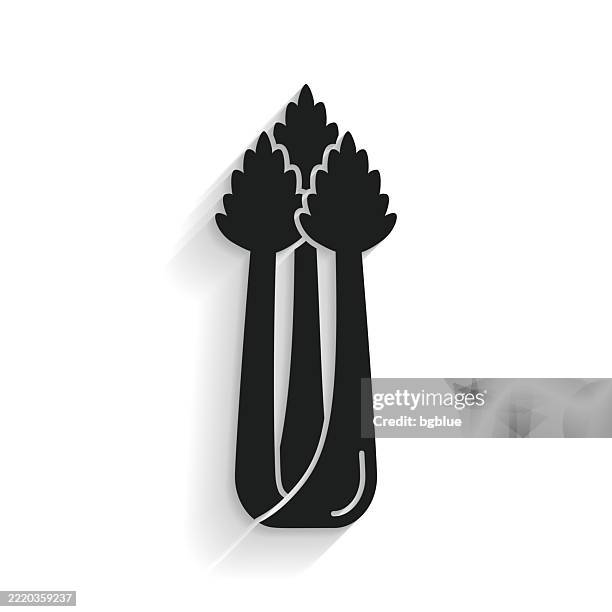 celery. icon with long shadow on white background - celery isolated stock illustrations