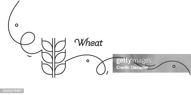 one continuous line drawing of wheat icon. single line vector illustration - wheat vector stock illustrations