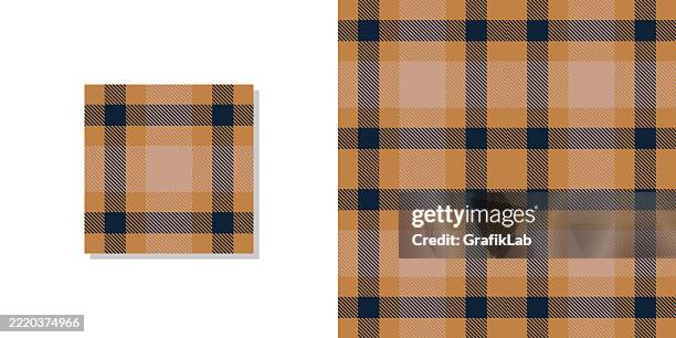 classic plaid pattern featuring blue and brown tones in seamless design - color coordinated stock illustrations