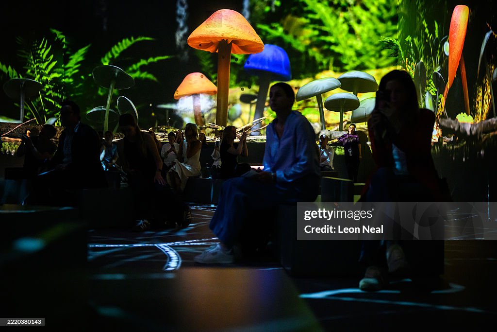 'Our Story with David Attenborough' Immersive Experience Opens At The Natural History Museum