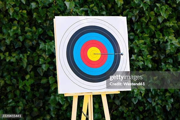 arrow in bull's eye in front of plants - centre de la cible photos et images de collection
