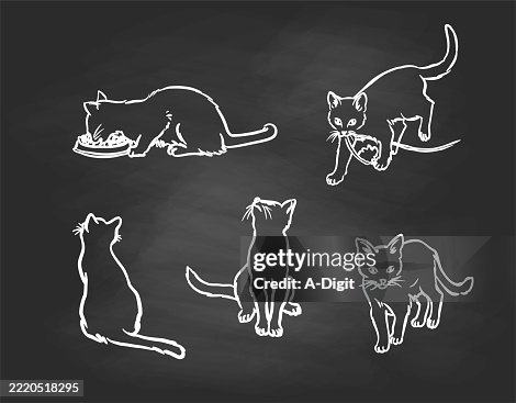 CatBehaviourCollectionBlackboard CatBehaviourCollectionBlackboard