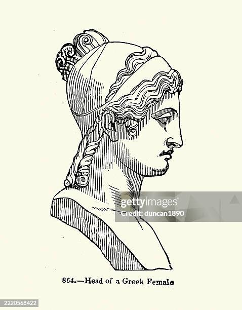 art history, ancient rome, sculpture, statue, head of a greek woman, vintage illustration - greek ethnicity stock illustrations