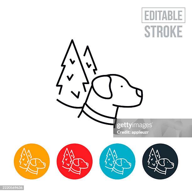 dog on a leash in a forest thin line icon - editable stroke - walking dog vector stock illustrations