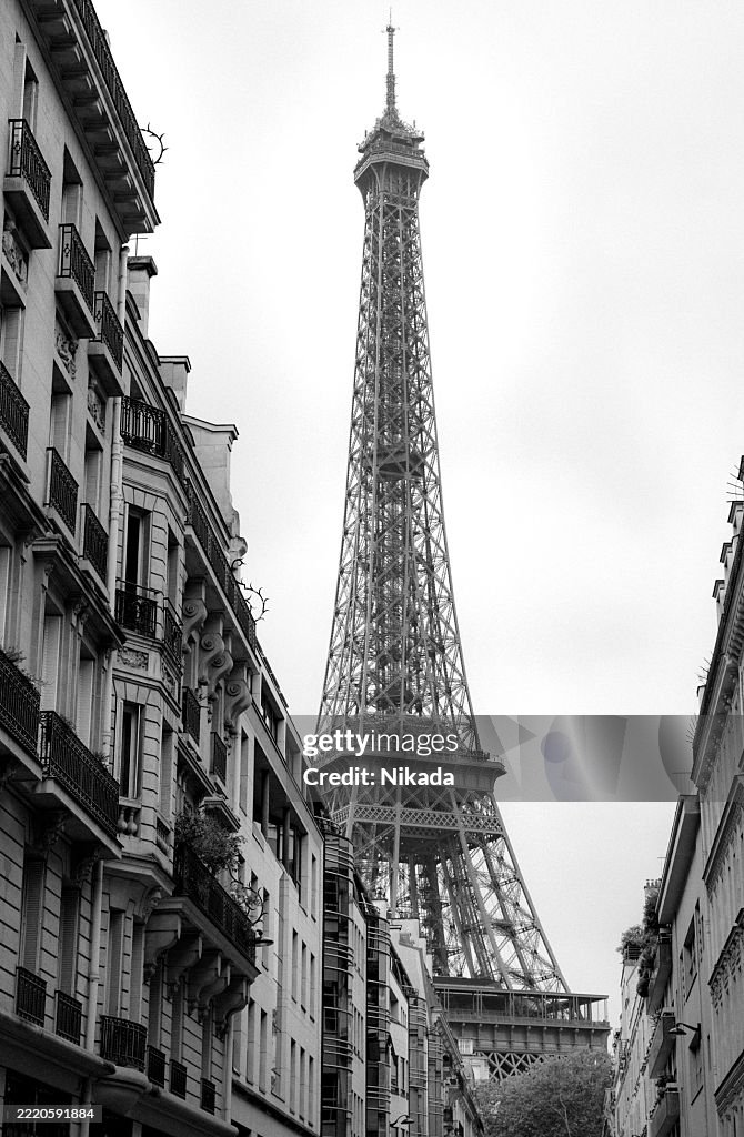 Black and White View of Eiffel Tower from Parisian Street