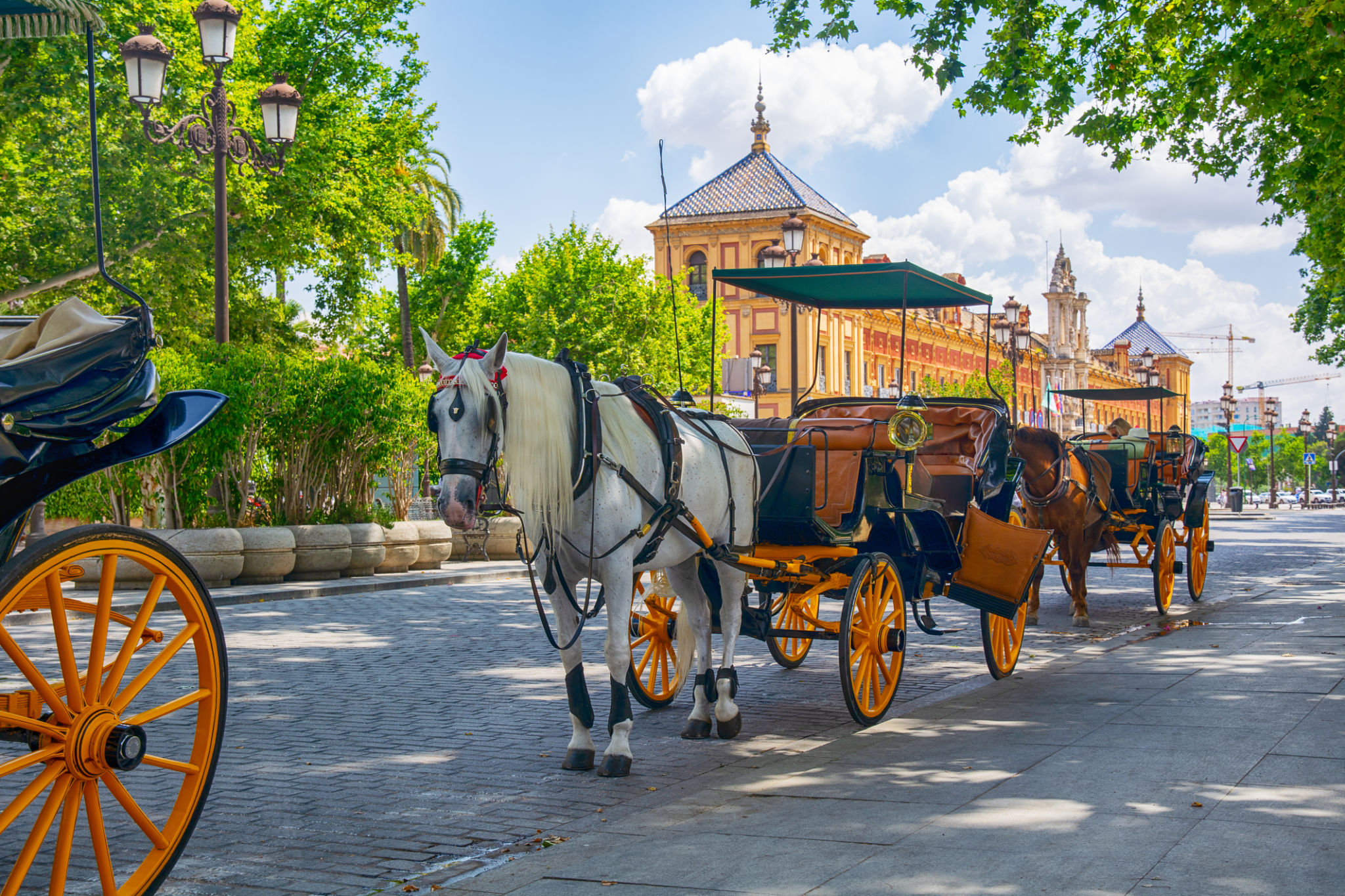buggy vehicle