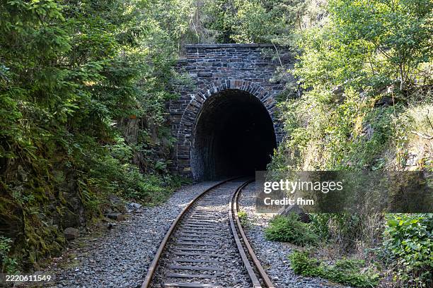 old tunnel at a closed railway line - apocalypse bunker stock pictures, royalty-free photos & images