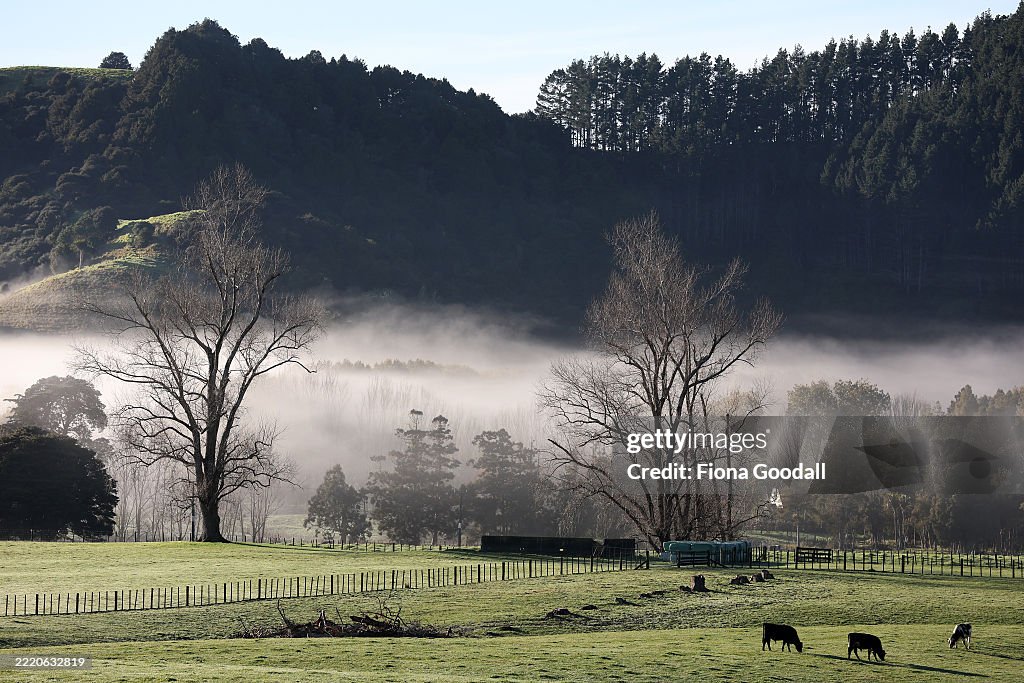 Rural Auckland Fog Weather