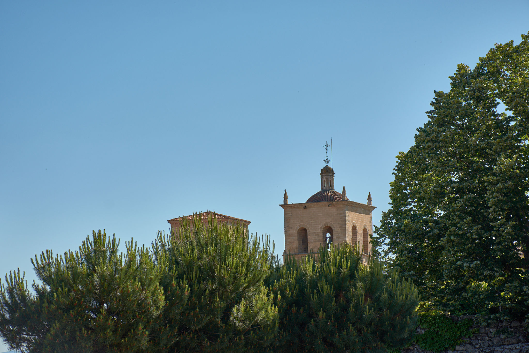 trastevere spring