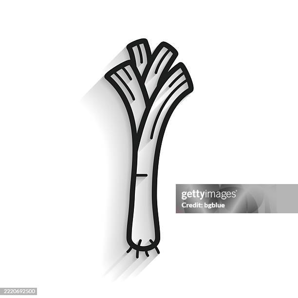 leek. line icon with long shadow on white background - leek isolated stock illustrations
